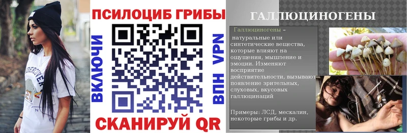Псилоцибиновые грибы Cubensis  shop телеграм  Кувандык 